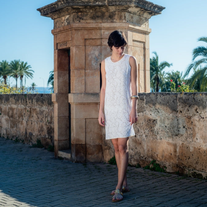 Anaya embroidered silk dress